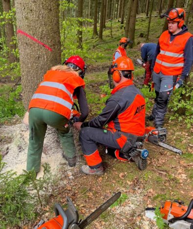 Landjugend Oberfranken engagiert sich für Waldgesundheit