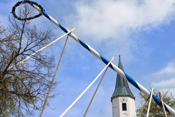 Aufstellen eines Maibaums mit Hilfe von Holzstäben, im Hintergrund eine Kirche